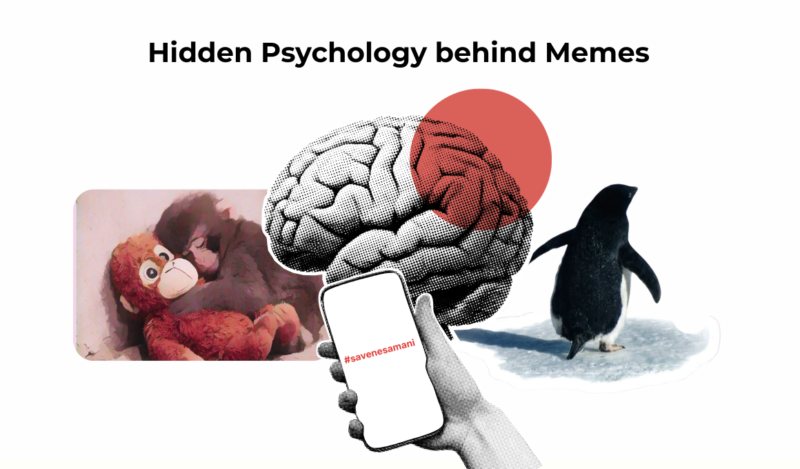 meme psychology