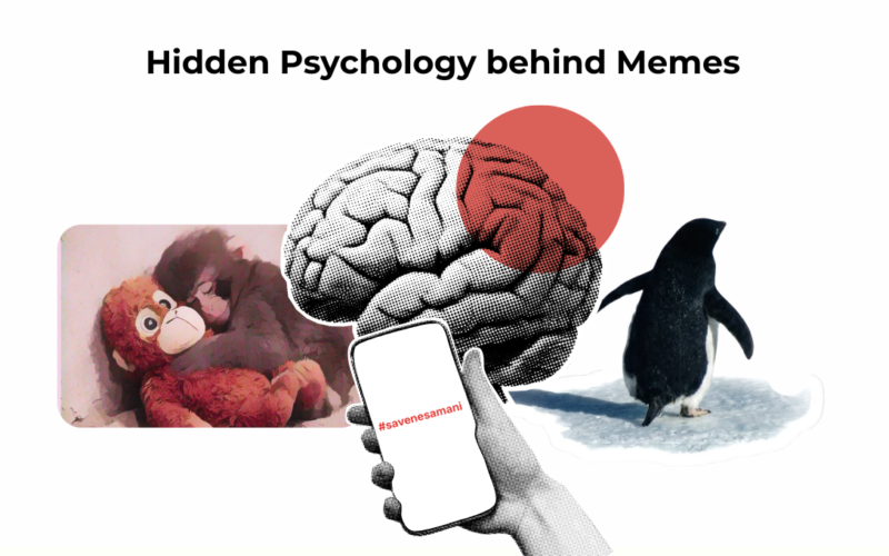 meme psychology